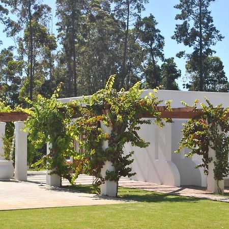 Lombard Villa Plettenberg Bay Eksteriør billede