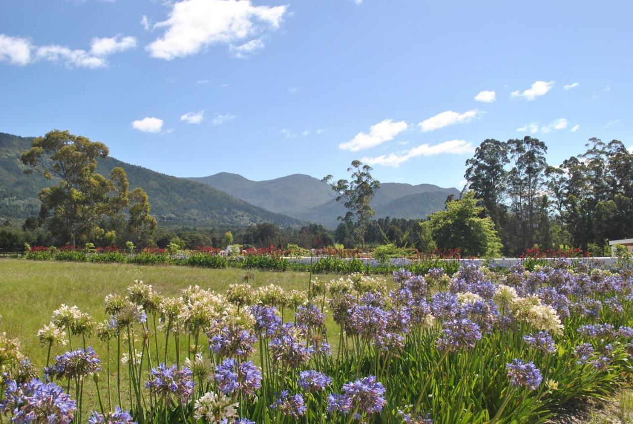 Lombard Villa Plettenberg Bay Eksteriør billede