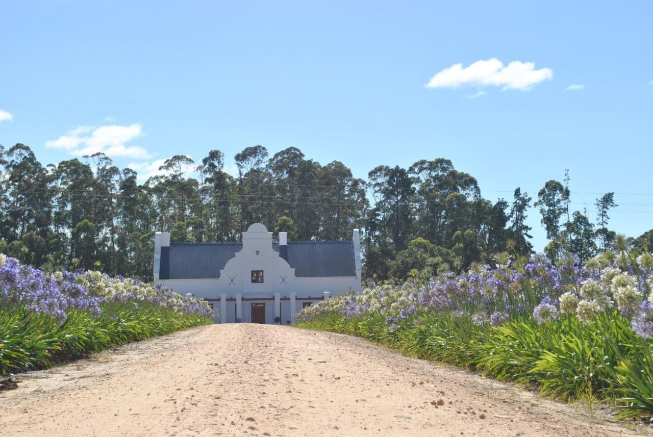 Lombard Villa Plettenberg Bay Eksteriør billede